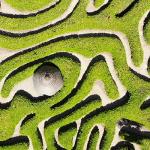 PhD+ Foundations 1: Contemplative Inquiry, Pedagogy and Practice