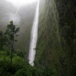 Mindfulness-Based Stress Reduction Class — Summer 2020