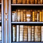 Schools & Society: Culture, Politics, & Globalization of Western Education— EDLF 7606—Spring 2022