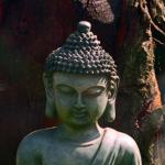 Fall 2019: Buddhism — RELB 2100