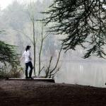 Mindfulness: Awareness and Habit—COLA 1500—Fall 2022