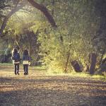 Spring 2019: Mindfulness for Teachers — EDIS 5012 (Online Course)