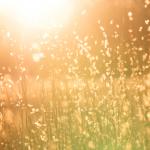 Fall 2018: Personal Adjustment and the Science of Happiness — EDHS 4810