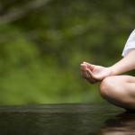 Fall 2019: Mindfulness and Nature — KINE 1055