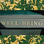 Health and Wellbeing Capstone Seminar—KINE 4420—Spring 2023